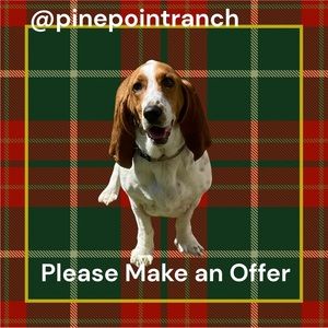 Don’t delay. Please make offers. Cute hound dog not for sale